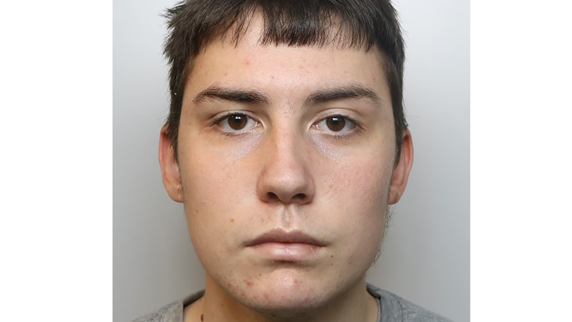 Man who fatally stabbed stepfather and family dog for ‘thrill’, jailed for life