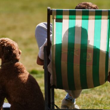 Temperatures to fall in UK as heatwave comes to an end