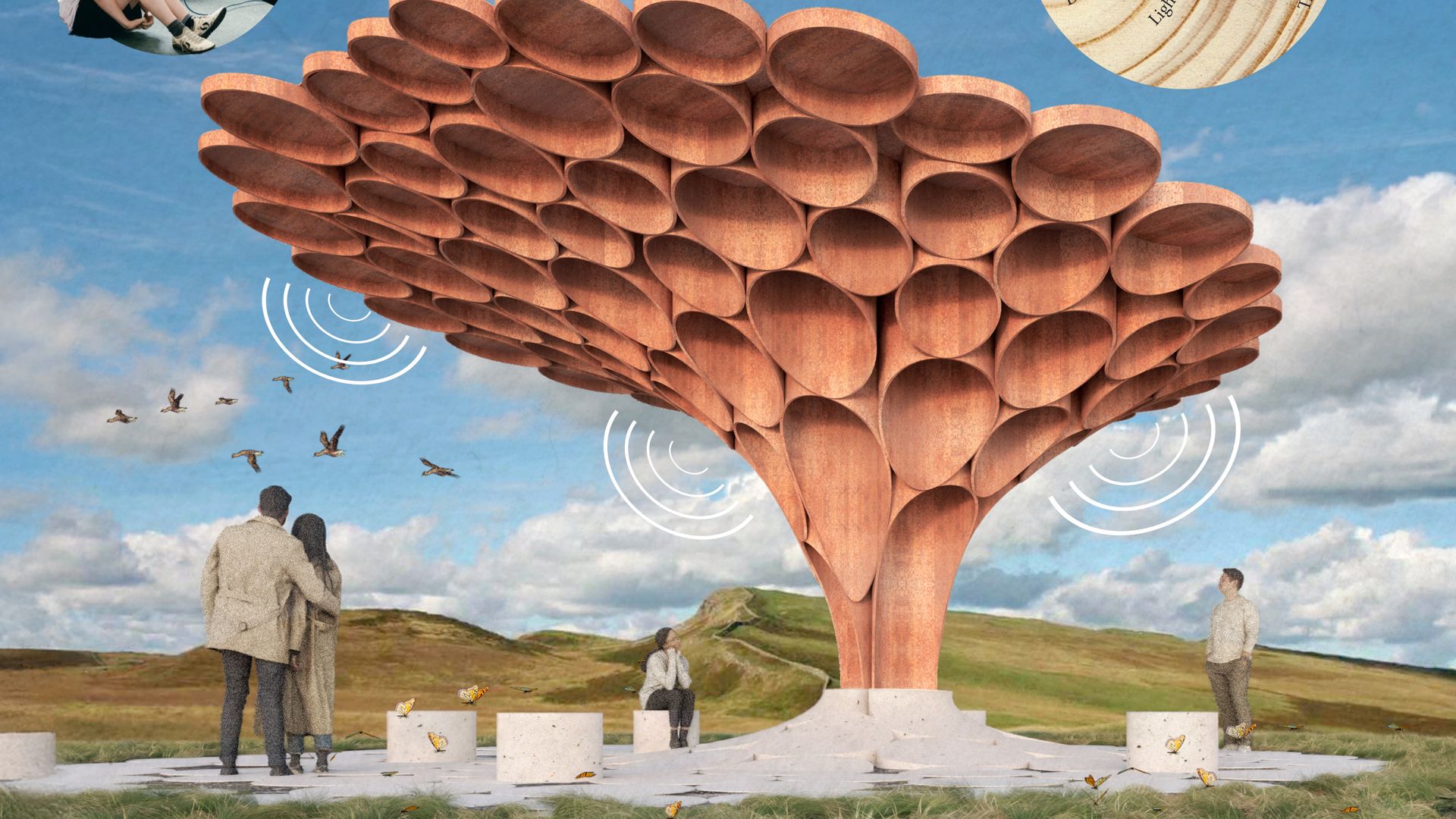 Winner of Sycamore Gap tree competition revealed
