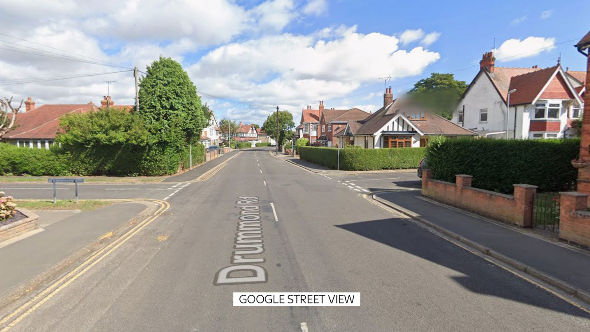 Man arrested after woman suffers facial injuries in suspected dog attack