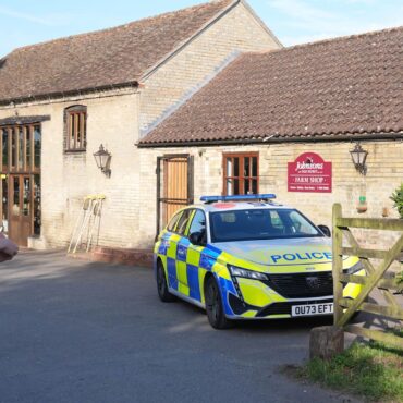 Hospital probe into why 40 people accessed file of boy attacked by crocodile