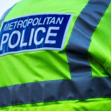 Woman, 19, shot dead at north London home