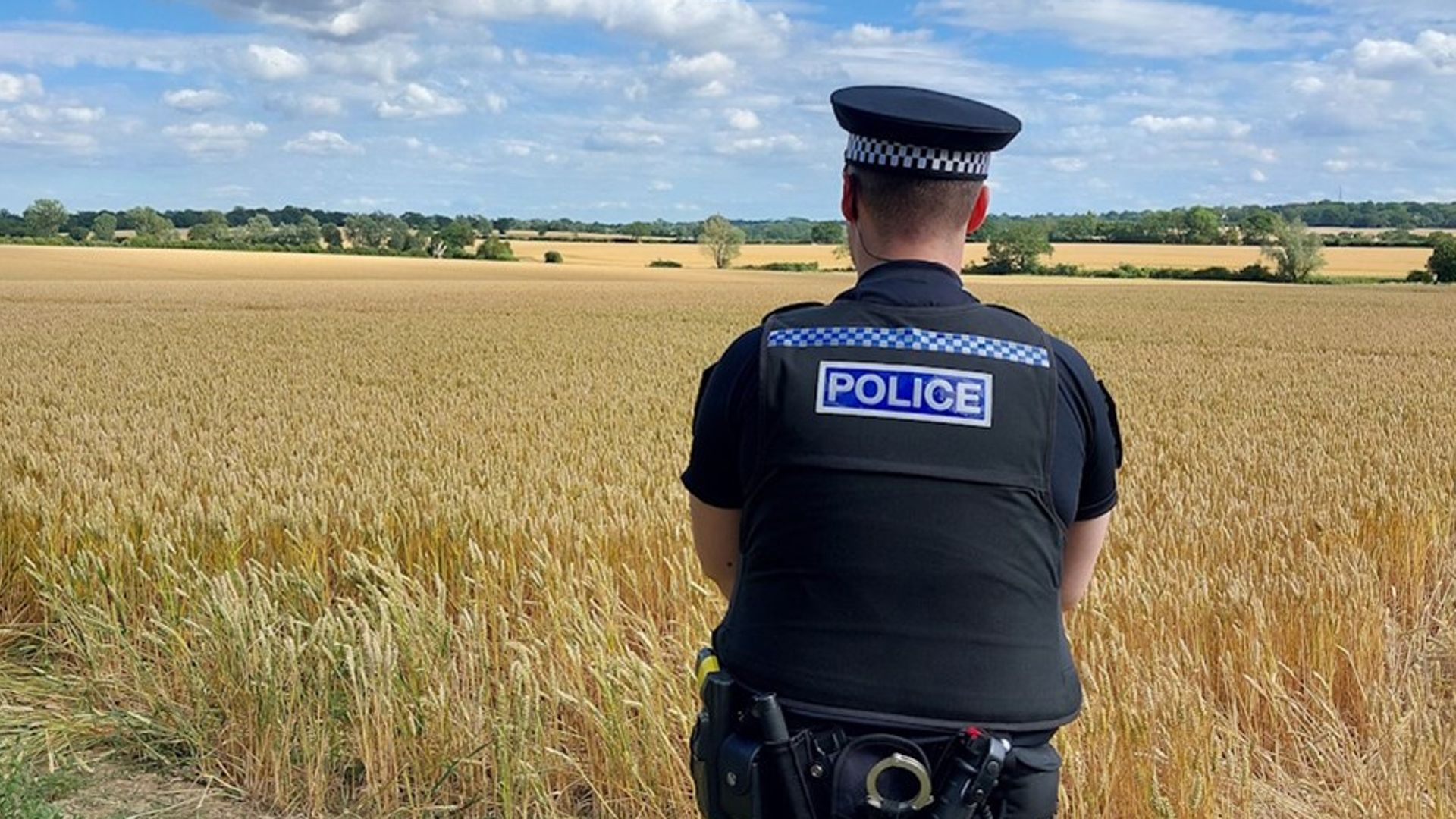 Two dead after light aircraft crashes in Essex during ‘short flight experience’