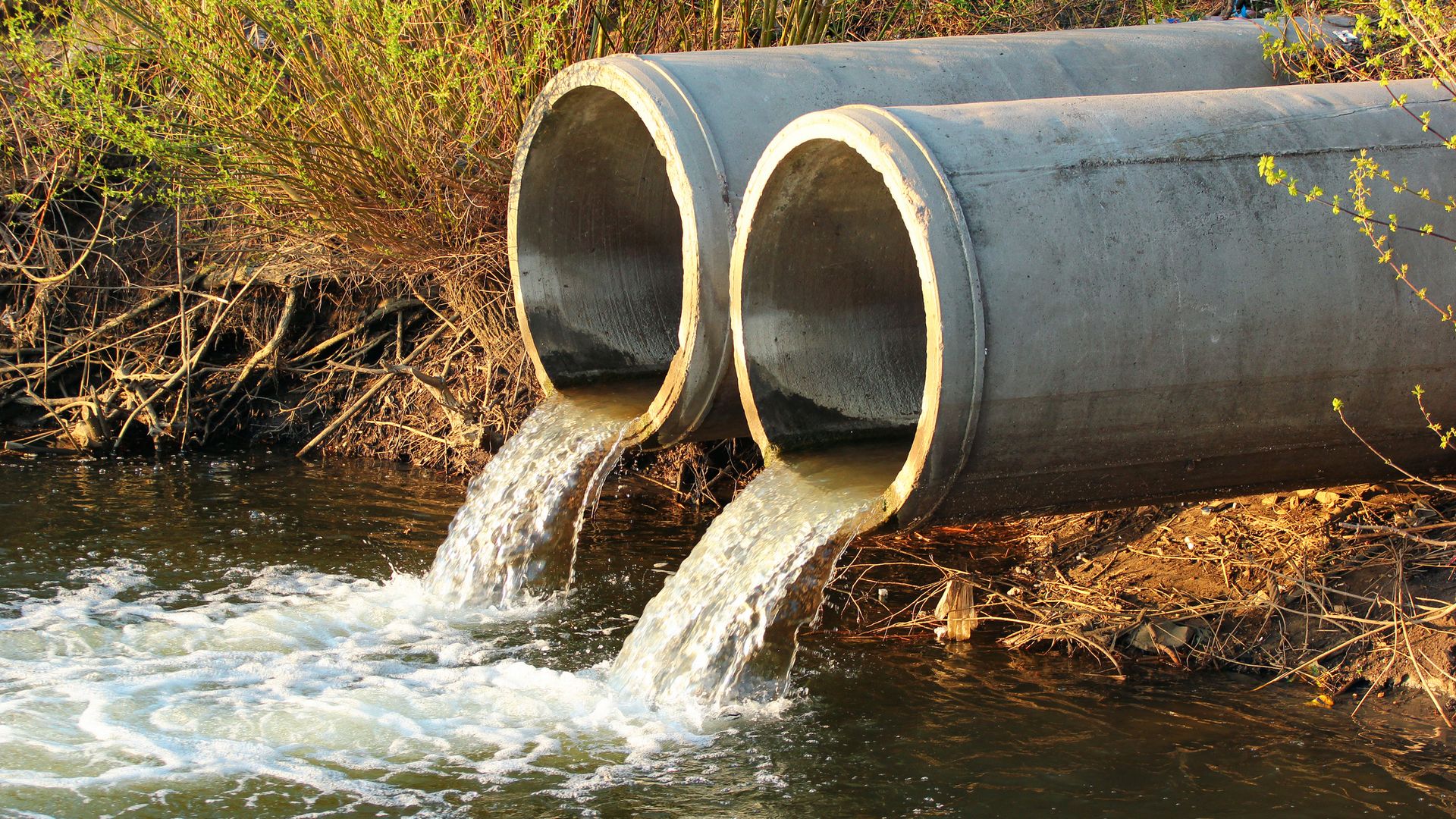 Ex-CEO of Southern Water among four charged over ‘scheme to manipulate water quality tests’