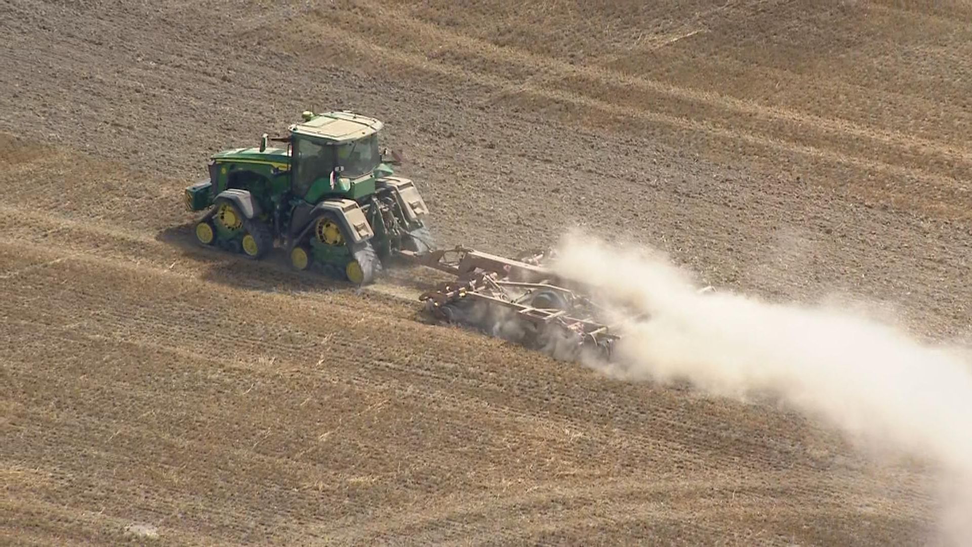 ‘Brutal’ harvest could be worst on record – and these are the foods that will be worst hit