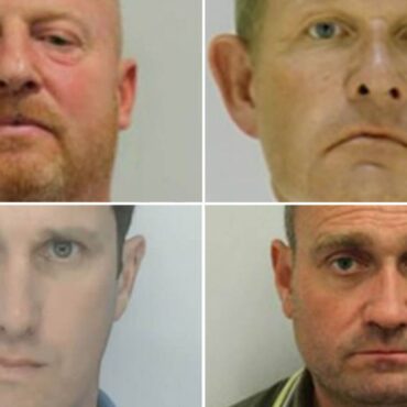 Gang jailed over plot to import cocaine and ketamine in frozen fish deliveries