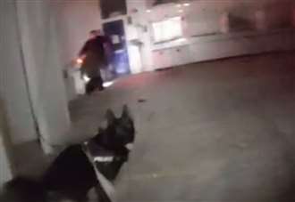 Dramatic footage shows police dog cornering suspected copper thieves