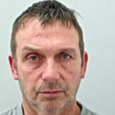 Man killed brother after punching him in social club playfight