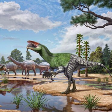 New dinosaur species discovered in UK after fossil left in drawer for 100 years