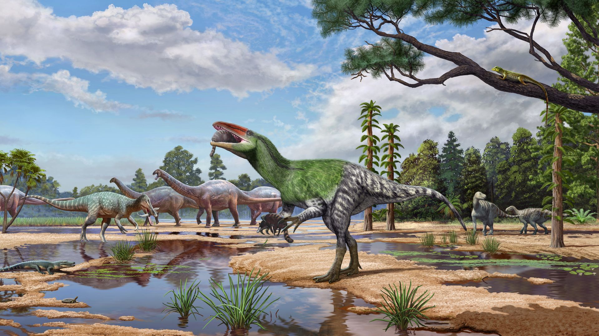 New dinosaur species discovered in UK after fossil left in drawer for 100 years