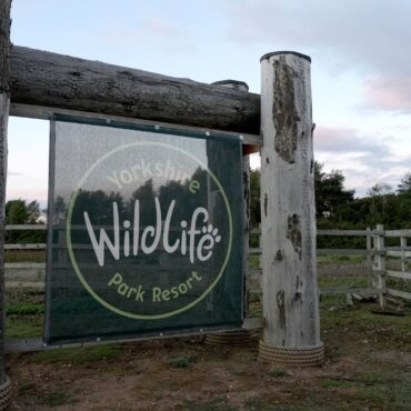 UK wildlife park to remain closed after man’s death in tiger enclosure